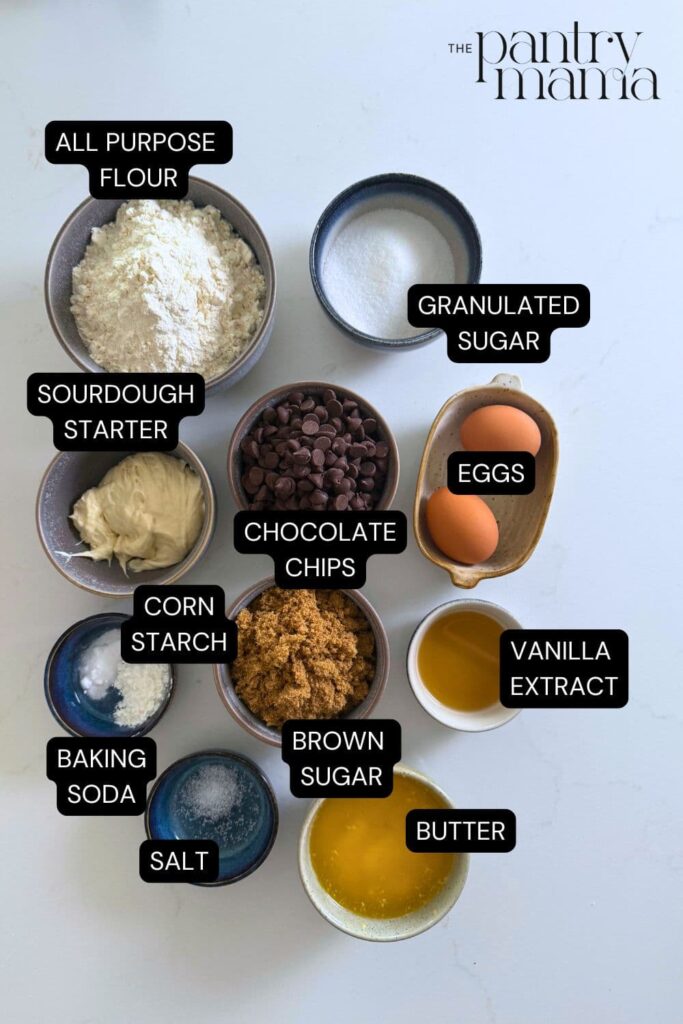 Flat lay of ingredients necessary to create a batch of sourdough chocolate chip cookies.