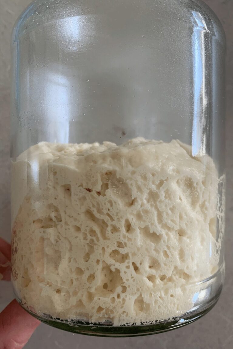 A jar containing a sourdough pasta madre that has been fermented and formed marshmallow bubbles on the sides of the jar.