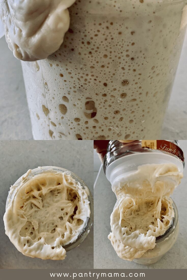 How Do You Know When Your Sourdough Starter Is Ready To Bake With?