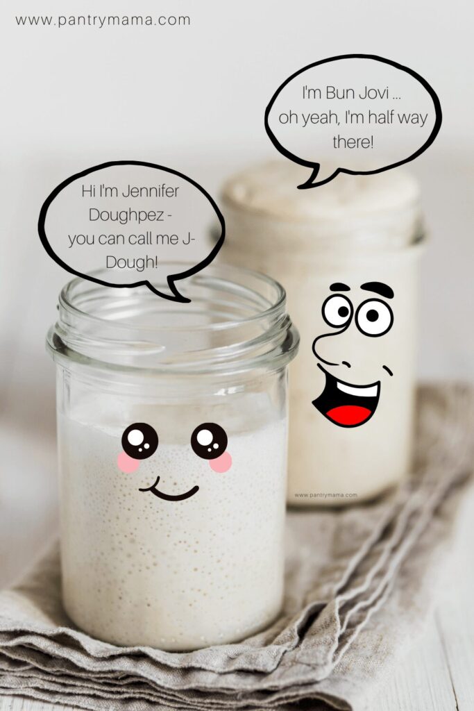 2 jars of sourdough starter with faces on them. They have speech bubbles coming out of the top of each jar.
