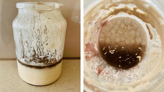 How To Revive Sourdough Starter: Is My Sourdough Starter Dead?