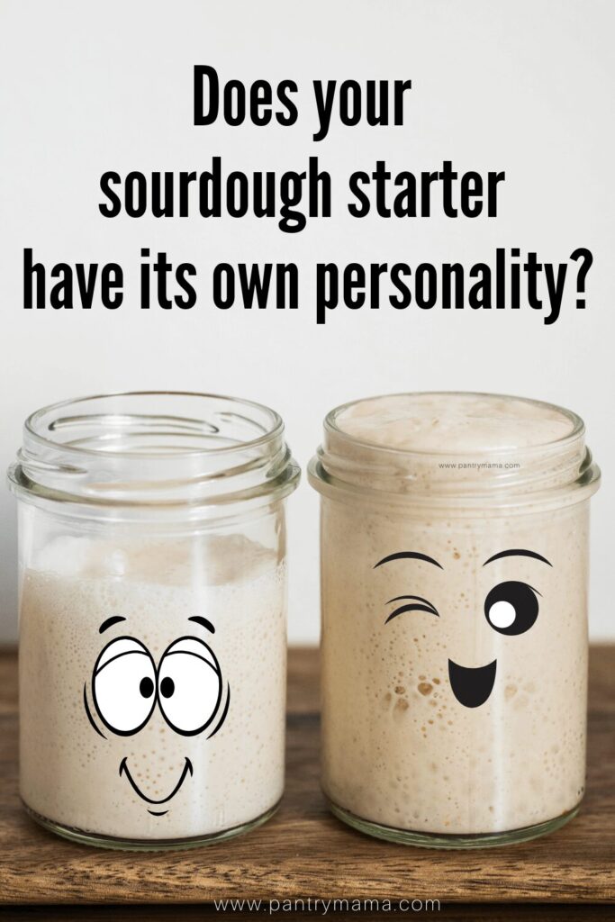 2 jars of sourdough starter that have faces on the jar to give them some personality. The text on the photos says "does your sourdough starter have it's own personality?"