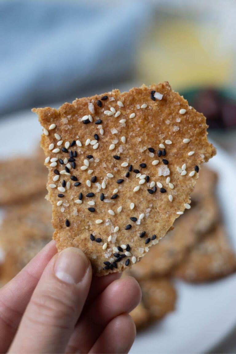Close up photo of a hand holding a sourdough lavosh cracker that has been topped with black and white sesame seeds.