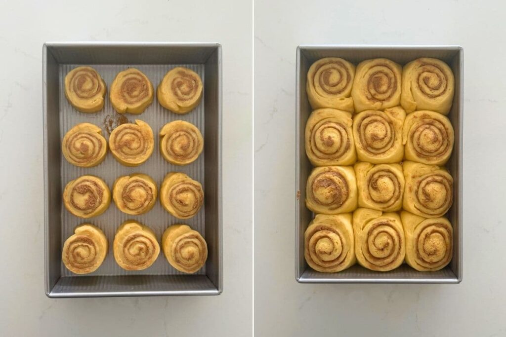 A photo comprised of two photos. The photo on the left shows the sourdough cinnamon rolls when they have just been rolled. The photo on the right shows the cinnamon rolls after proofing.