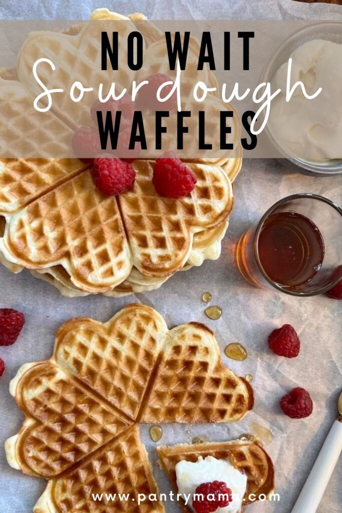 NO WAIT SOURDOUGH DISCARD WAFFLES RECIPE PINTEREST IMAGE