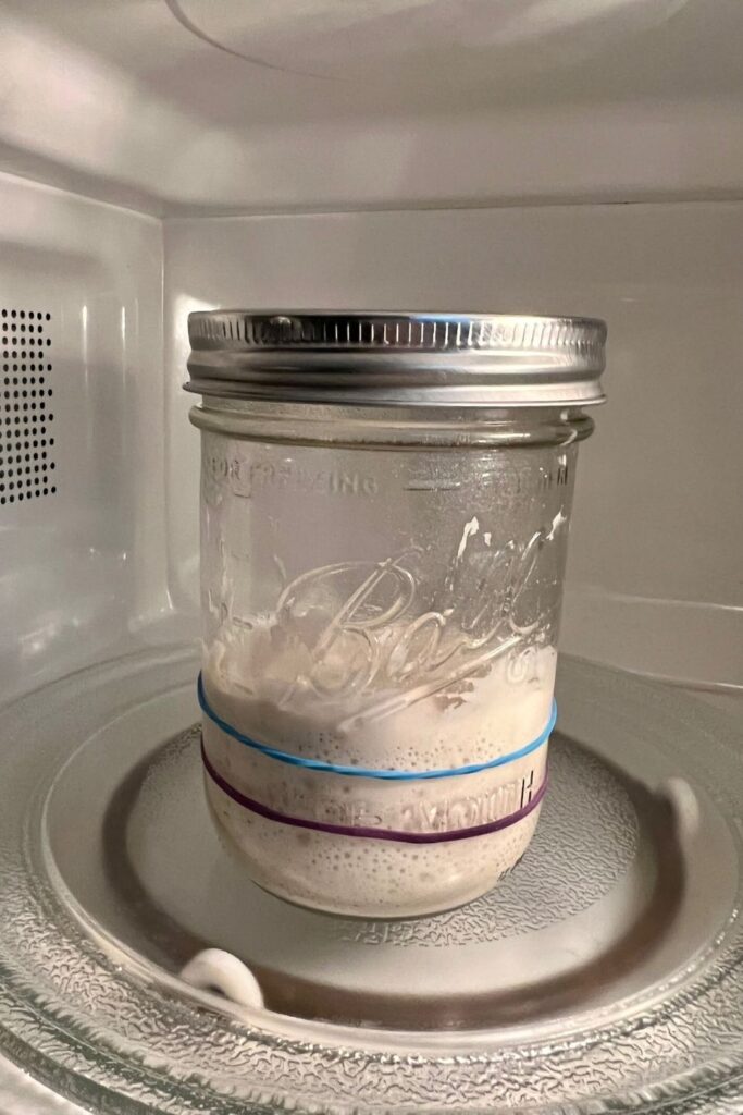 A small jar of sourdough starter sitting inside a microwave. The jar has two elastic bands around it to show how far it has risen.