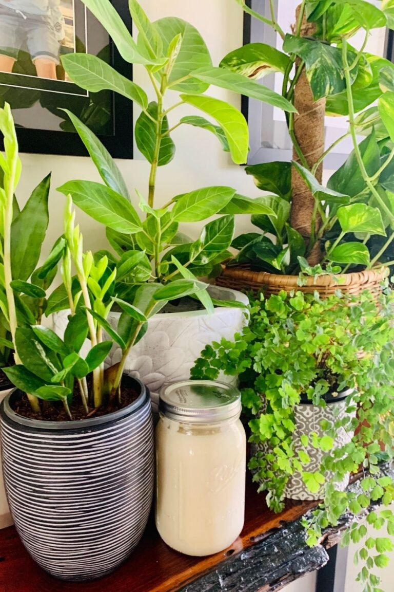 How to use sourdough starter in the garden