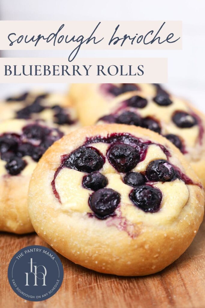 Sourdough brioche blueberry cheesecake rolls - Pinterest Image