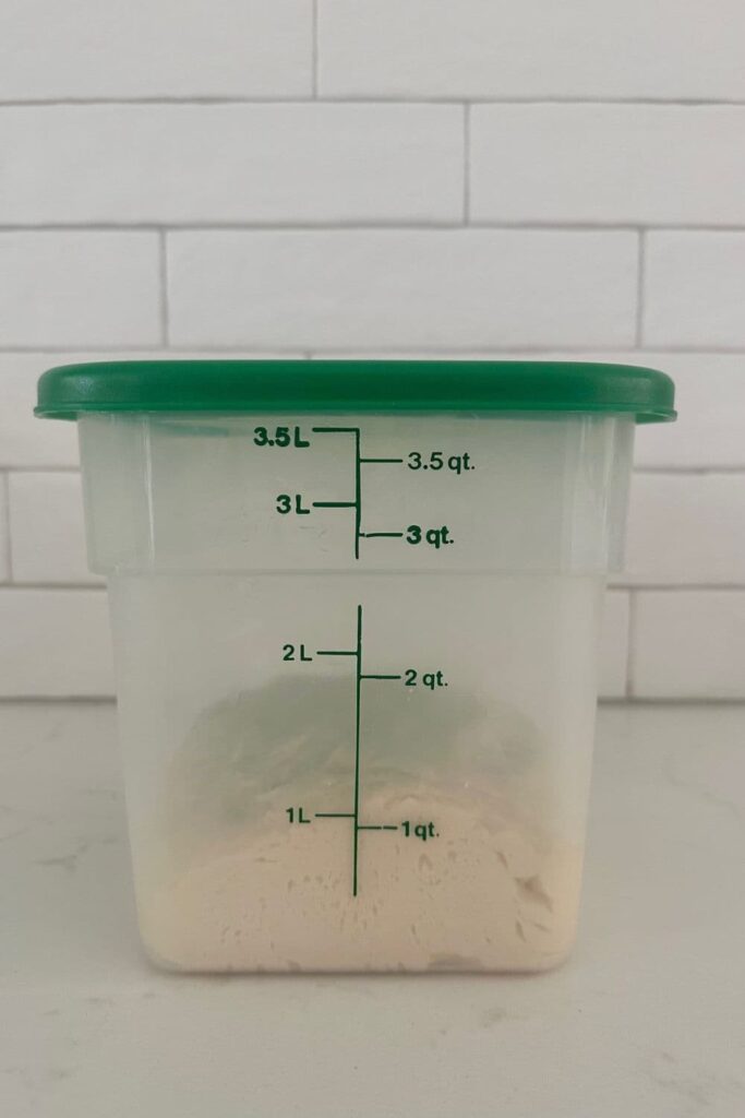A cambro container containing sourdough tiger roll dough.