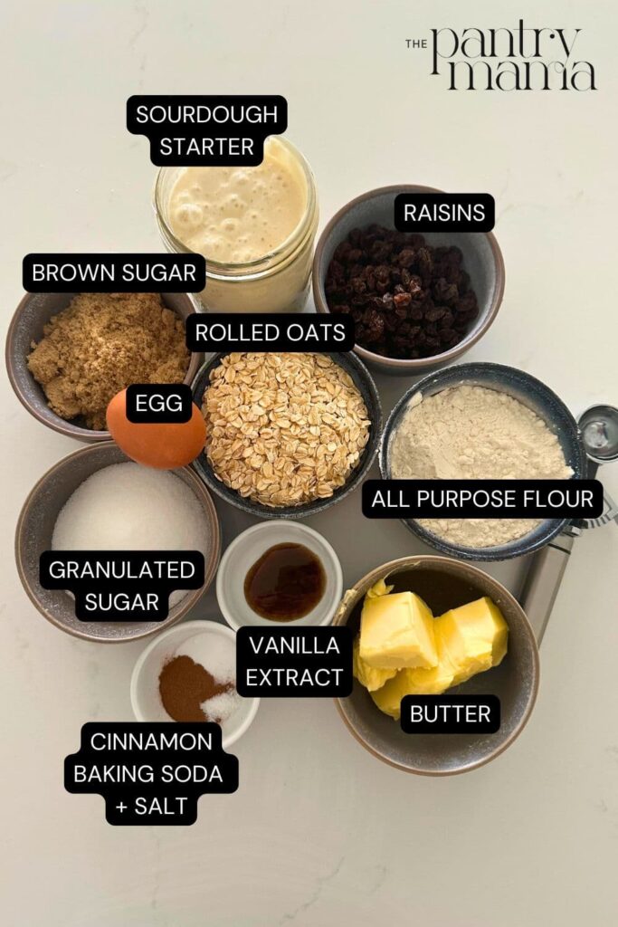 A flat lay of ingredients necessary to make sourdough discard oatmeal raisin cookies.