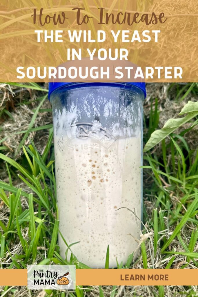 HOW TO INCREASE WILD YEAST IN SOURDOUGH STARTER - PINTEREST IMAGE