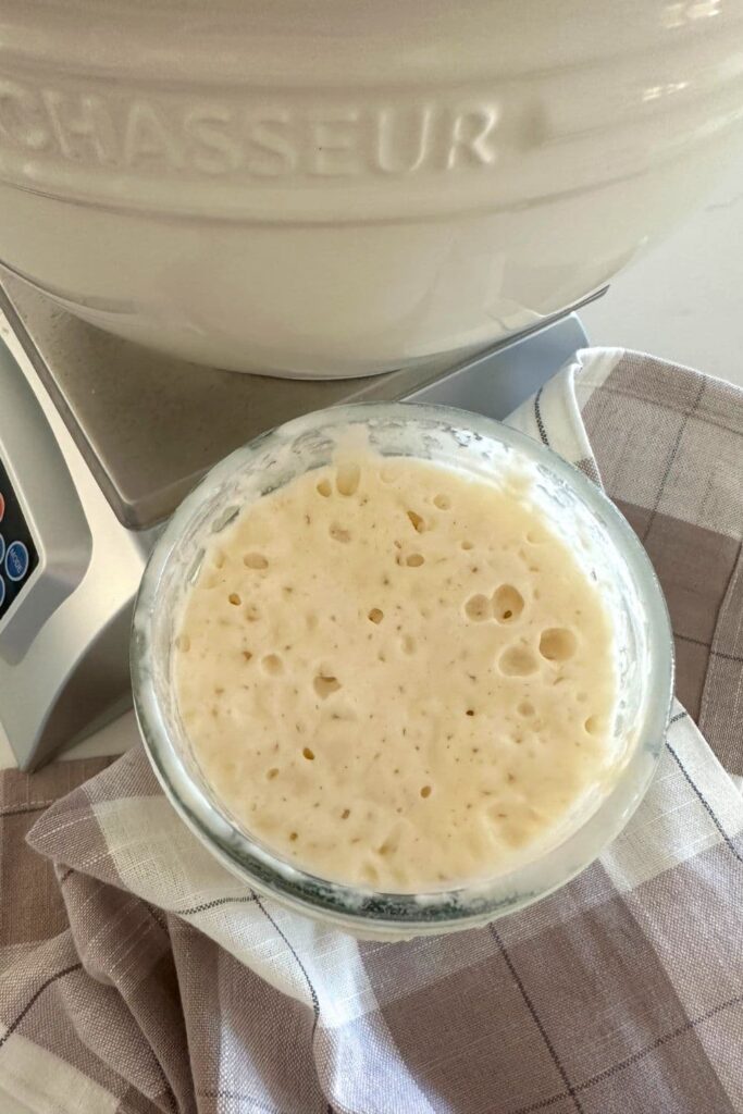 A jar of sourdough starter photographed from the top down.