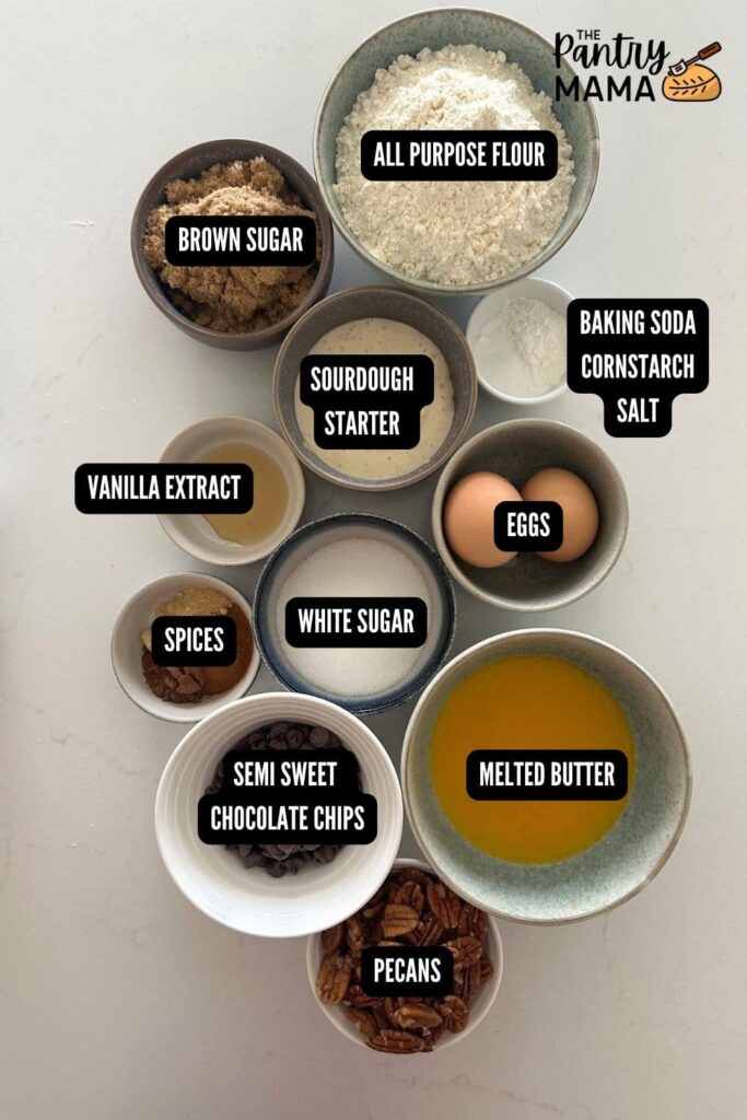 Flat lay of ingredients used to make spiced pecan sourdough cookies.