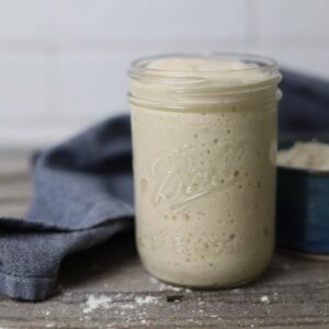 Sourdough Starter Tips and FAQ Sourdough Starter Tips and FAQ