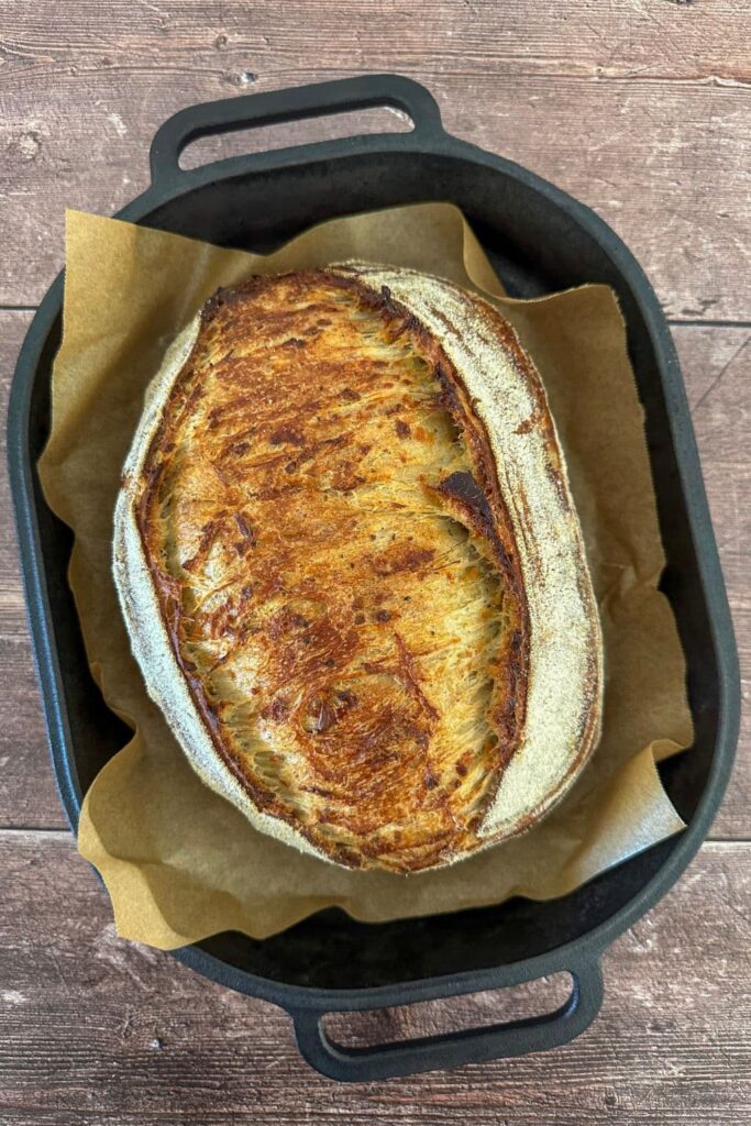A whole loaf of Italian Herb and Cheese sourdough bread that has just come out of the oven. It's sitting in a cast iron bread pan.