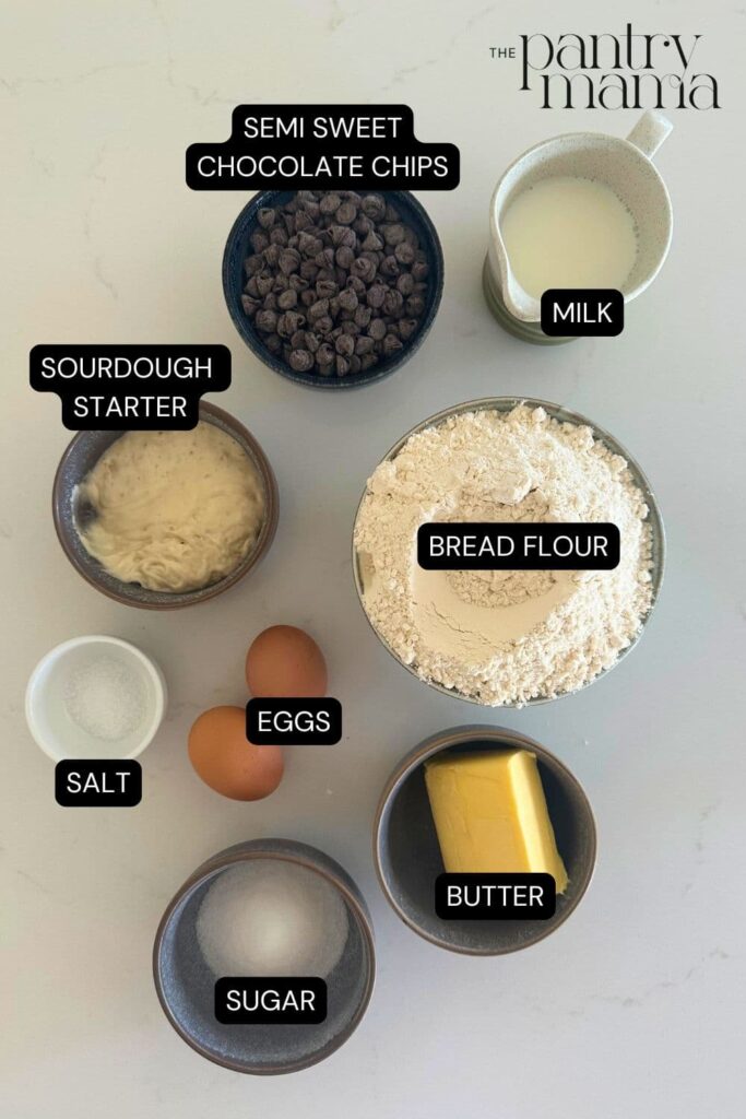 Flat lay of ingredients necessary to create sourdough chocolate chip brioche rolls.