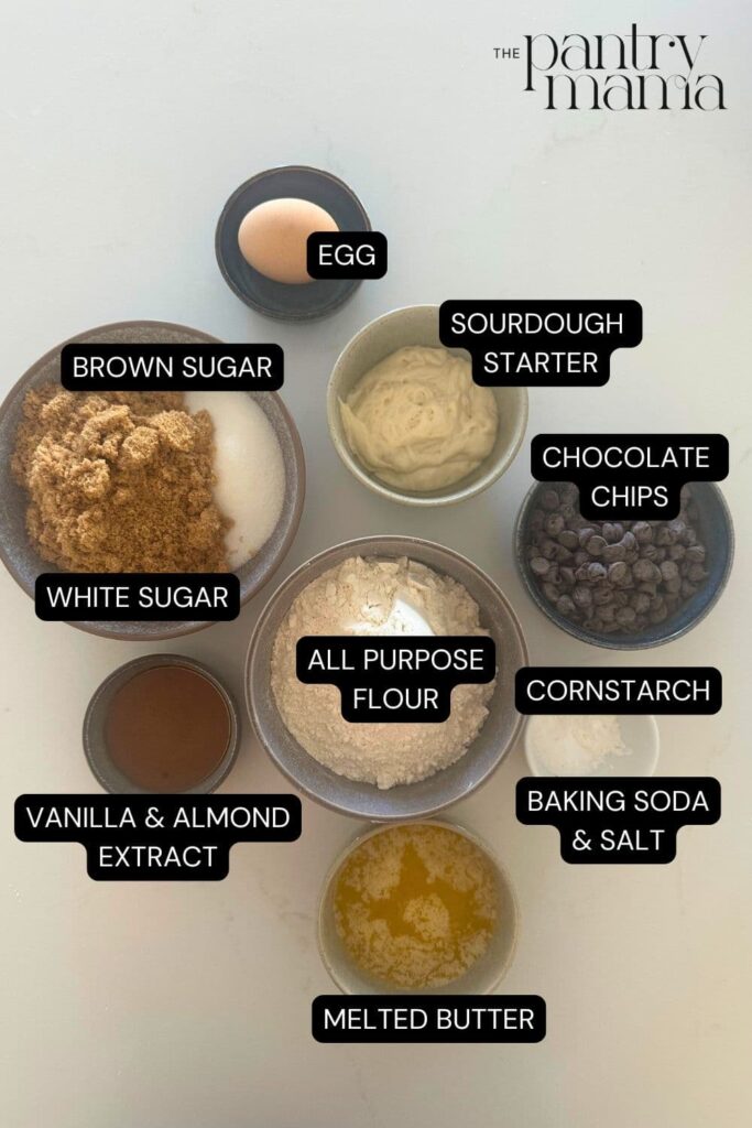 Flat lay of ingredients necessary to make sourdough chocolate chip cookie bars.