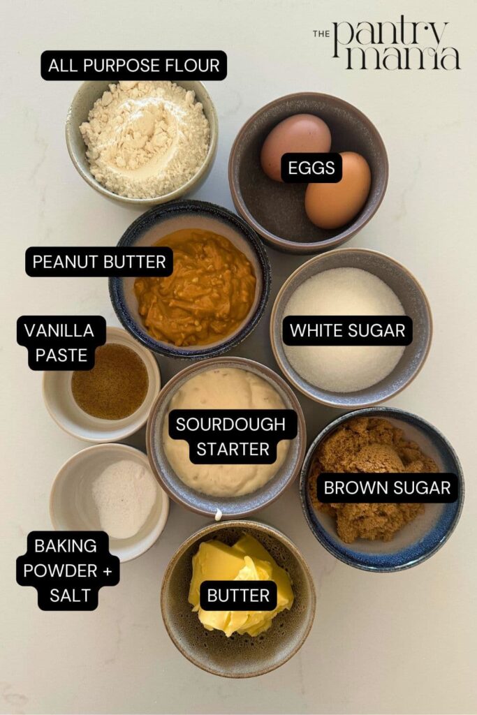 Flat lay of ingredients necessary to make sourdough peanut butter squares.