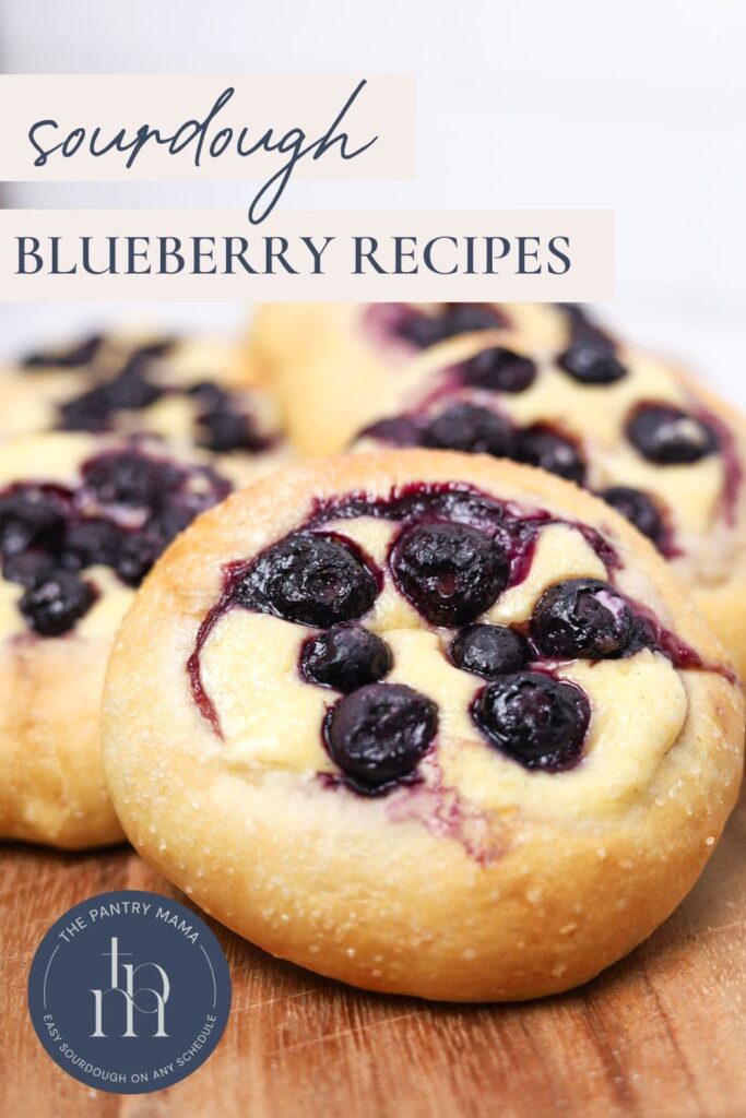 Sourdough Blueberry Recipes - Pinterest Image