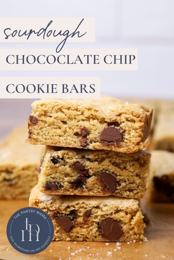 Sourdough Chocolate Chip Cookie Bars - Pinterest Interest