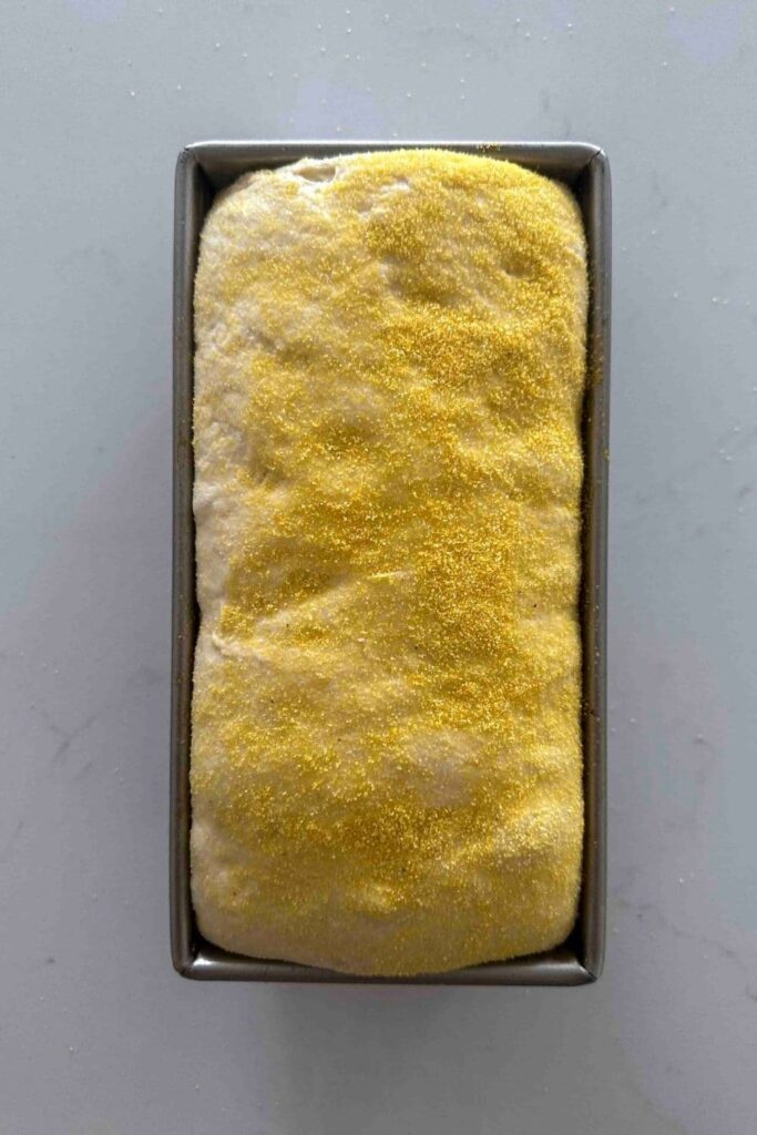 Sourdough English muffin loaf dough after second rise in loaf pan.