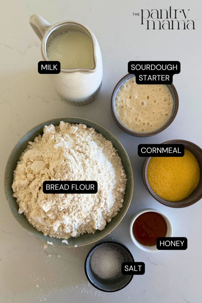 Flat lay of ingredients necessary to make sourdough English Muffin loaf.