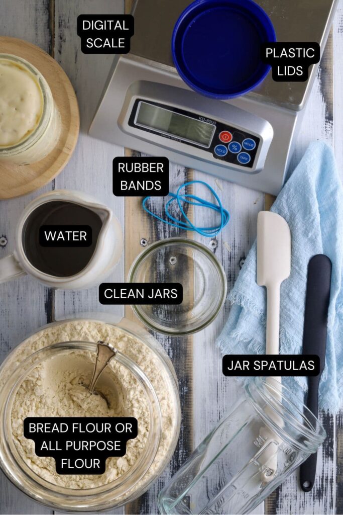 Flat lay of equipment necessary to make a sourdough starter. There is a digital scale with a blue plastic lid sitting on top, some blue rubber bands, a jug of water, a glass canister of flour, 2 clean jars and 2 jar spatulas.