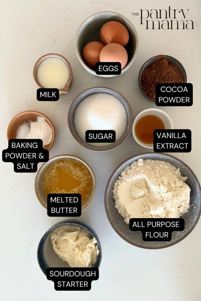 Sourdough chocolate cupcakes labelled ingredients.