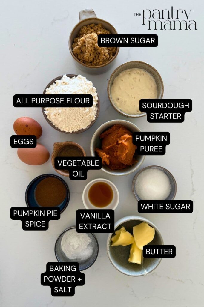 Flat lay of ingredients necessary to make sourdough pumpkin muffins.
