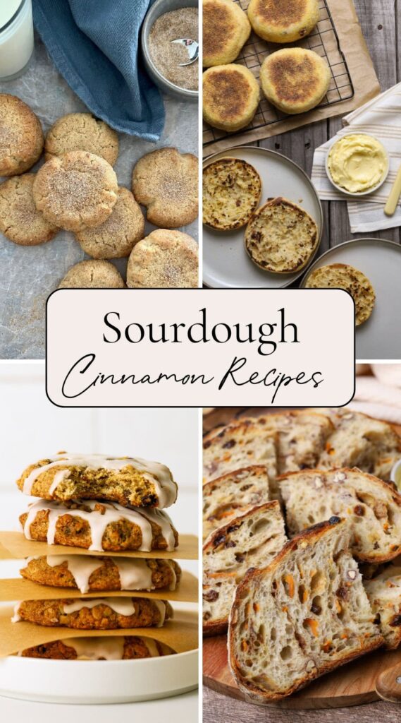 Sourdough cinnamon recipes Pinterest Pin.