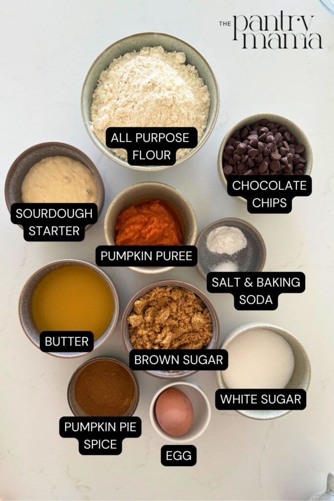 Labeled ingredients on counter for sourdough pumpkin chocolate chip cookies.