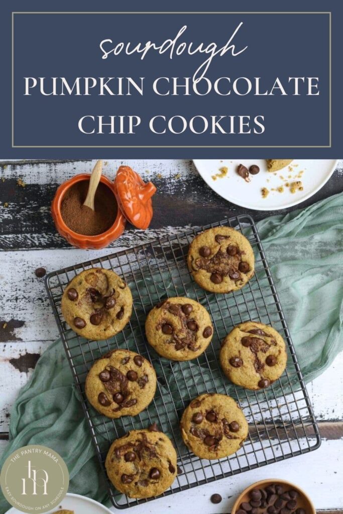 Pinterest image of sourdough pumpkin chocolate chip cookies on a wire rack.