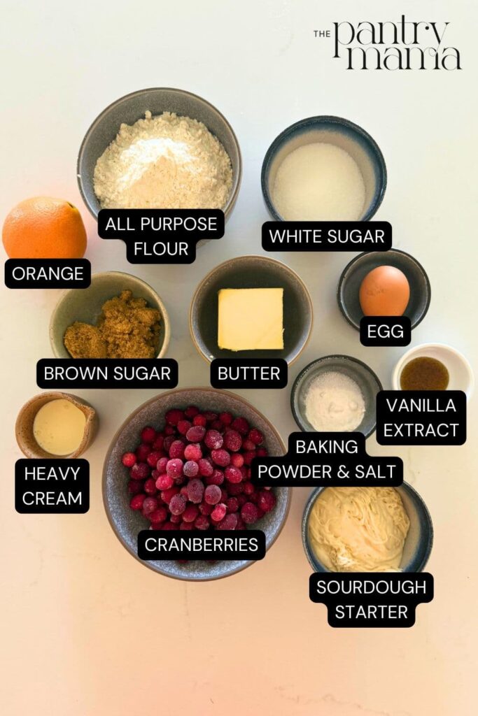 Labeled ingredients on counter to make sourdough orange cranberry scones.