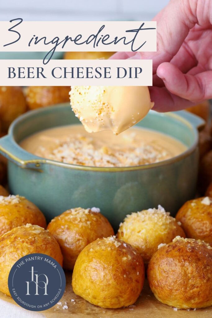 3 Ingredient beer cheese dip - Pinterest Pin