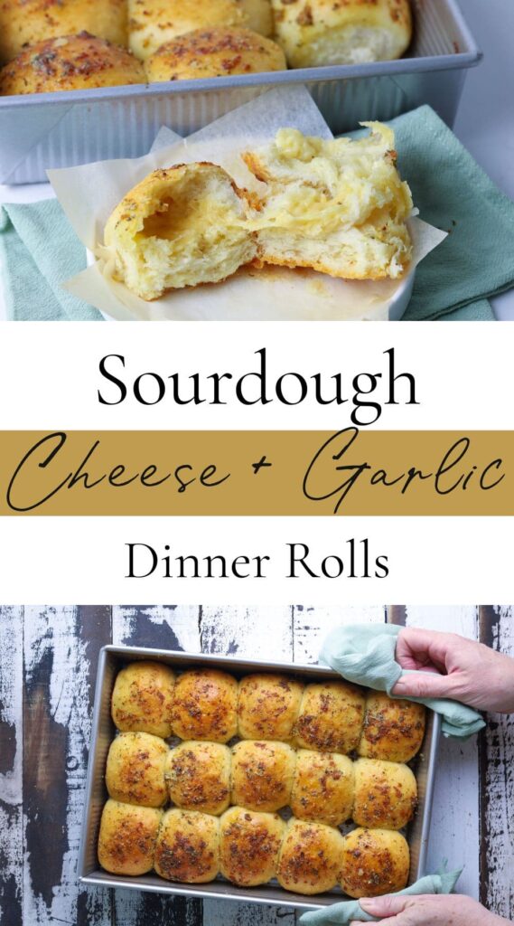 Pinterest pin for sourdough cheese and garlic rolls showing fresh baked rolls in pan and one roll broken open with text overlay.