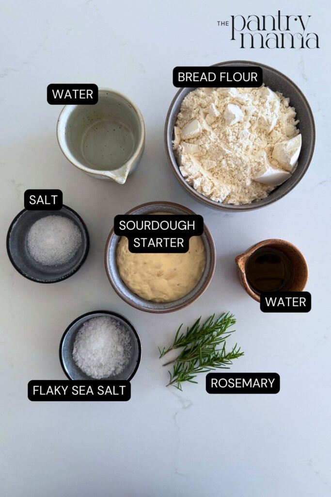 Flat lay of ingredients used to make sourdough focaccia rolls.