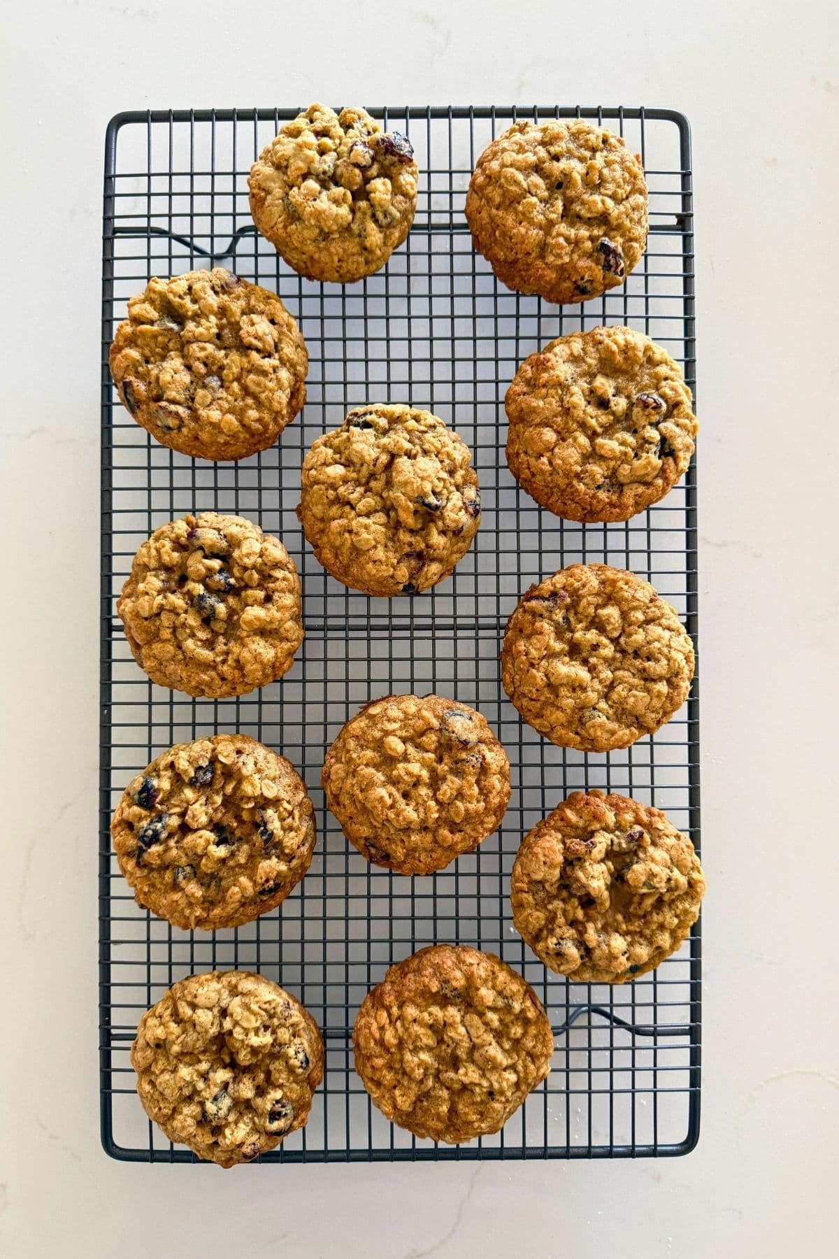 Fresh baked orange cranberry sourdough oatmeal cookies cooling on a cooling rack.